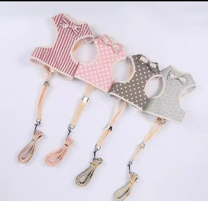 Correa De Pecho Con Lazo