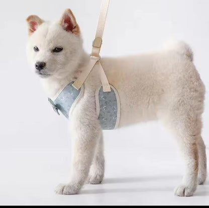 Correa De Pecho Con Lazo